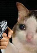 Image result for Cat PSX with Gun