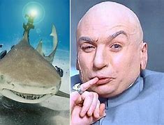 Image result for Shark Robotic