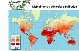 Image result for Geographical Differences in Melanin