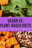 Image result for Vegan vs Vegetarian Sign