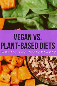 Image result for Vegan Paleo Diet