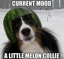 Image result for Silly Goofy Mood Meme