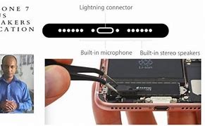 Image result for iPhone 7 Plus Speaker Connection Diagram