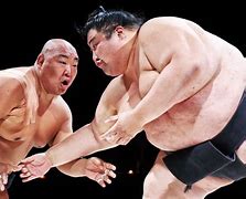 Image result for Sumo Wrestling Pro Football