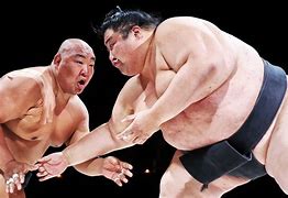 Image result for Sumo Wrestling Championship