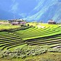 Image result for Nature in Bhutan