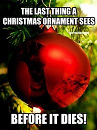 Image result for Last Thing a Christmas Ornament Sees