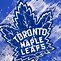 Image result for Images of Toronto Maple Leafs Logo