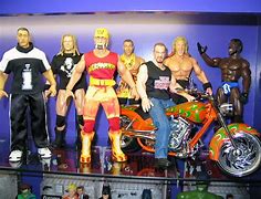 Image result for Pro Wrestlers That Do MMA
