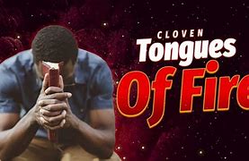 Image result for Cloven Tongues of Fire Meg Kish