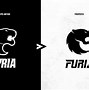 Image result for furia