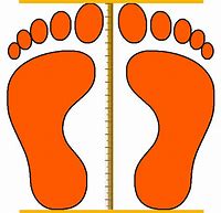 Image result for 10 Feet Measurement