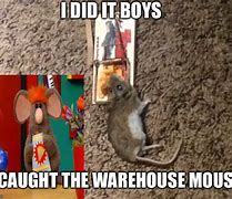 Image result for Warehouse Mouse Memes