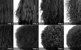 Image result for Different Natural Hair Types