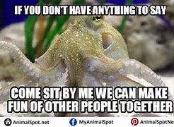 Image result for Funny Octopus Memes