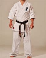 Image result for Ryu Karate GI