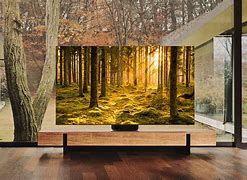 Image result for Very Decent TV Expensive