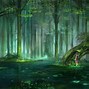 Image result for Mystical Dark Forest