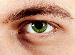 Image result for People with Pretty Green Eyes