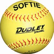 Image result for Easton Indoor Softball