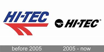 Image result for Hi Tec Electronics Japan