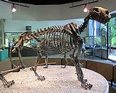 Image result for Prehistoric American Lion