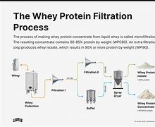 Image result for Whey Desalting