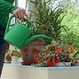 Image result for Watering Can Pouring Water