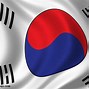 Image result for Cool South Korea Flag