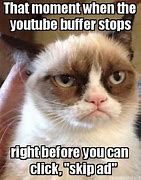 Image result for Buffer Cat Meme
