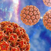 Image result for Cervical Cancer Human Papillomavirus