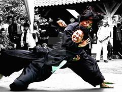 Image result for Deadliest Martial Arts