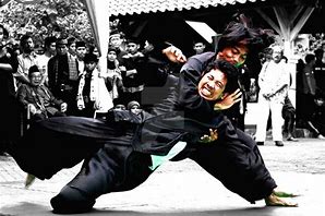 Image result for Deadliest Martial Arts Techniques