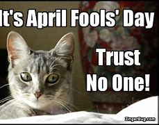 Image result for April Fools Day Cat Meme