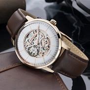 Image result for Titan Automatic Watch