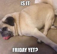 Image result for Is It Friday yet Meme Funny