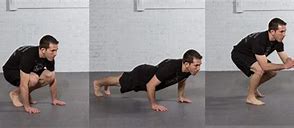Image result for Jiu Jitsu Workout