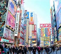 Image result for Akihabara Japan Things to Do