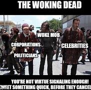 Image result for They Stole the Word Woke Meme