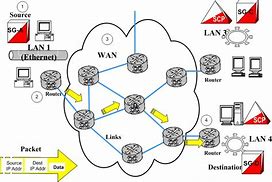 Image result for Wan Types