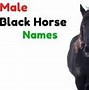 Image result for Adorable Horse Names