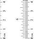Image result for 11 Inches Ruler