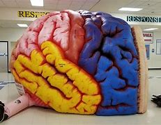 Image result for Super Big Brain