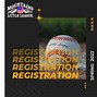 Image result for Williamsport Little League