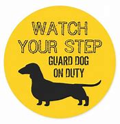 Image result for Funny Watch Your Step Signs