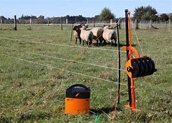 Image result for Electric Cattle Fence