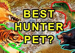 Image result for Hunter Pets