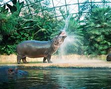 Image result for Best Zoos