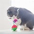 Image result for Super Cool Cat Toys