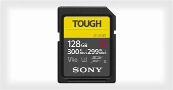 Image result for Sony Tough SD Card